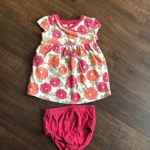 Tea Collection 6-12 months outfit